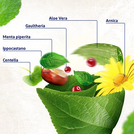 Voltanatura a base di estratti naturali con proprietà lenitive e rinfrescanti - Ritornainmovimento Voltanatura a base di estratti naturali con proprietà lenitive e rinfrescanti - Ritornainmovimento