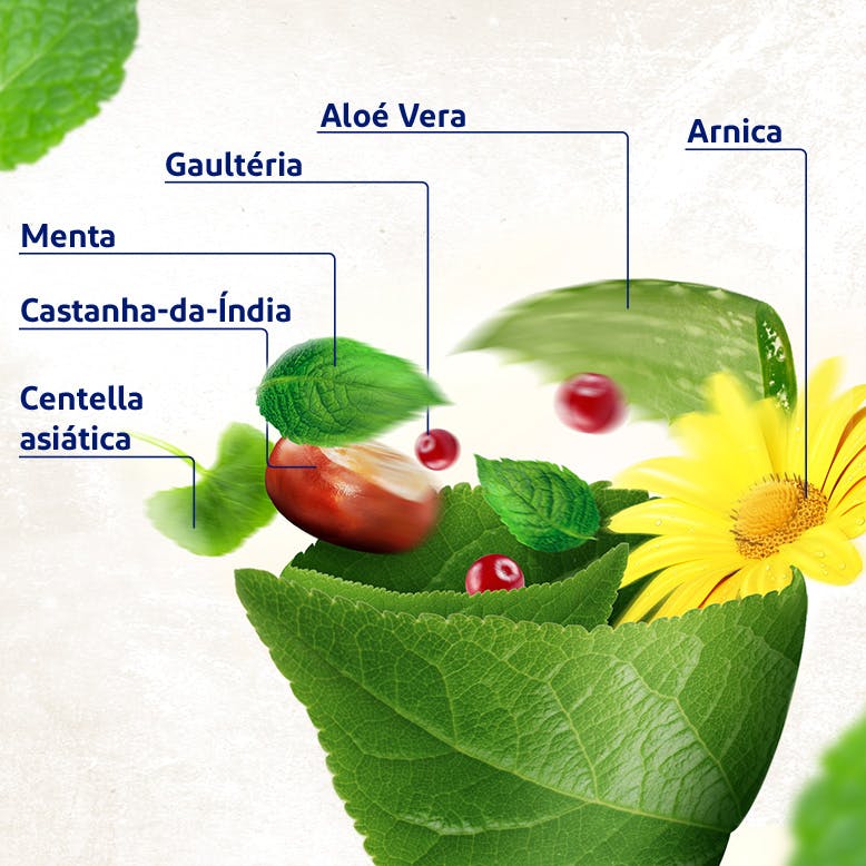 Centella Asiática, Castanha-das-Índias, Menta, Gaultéria, Aloe Vera e Arnica envolvidos num cone de folha