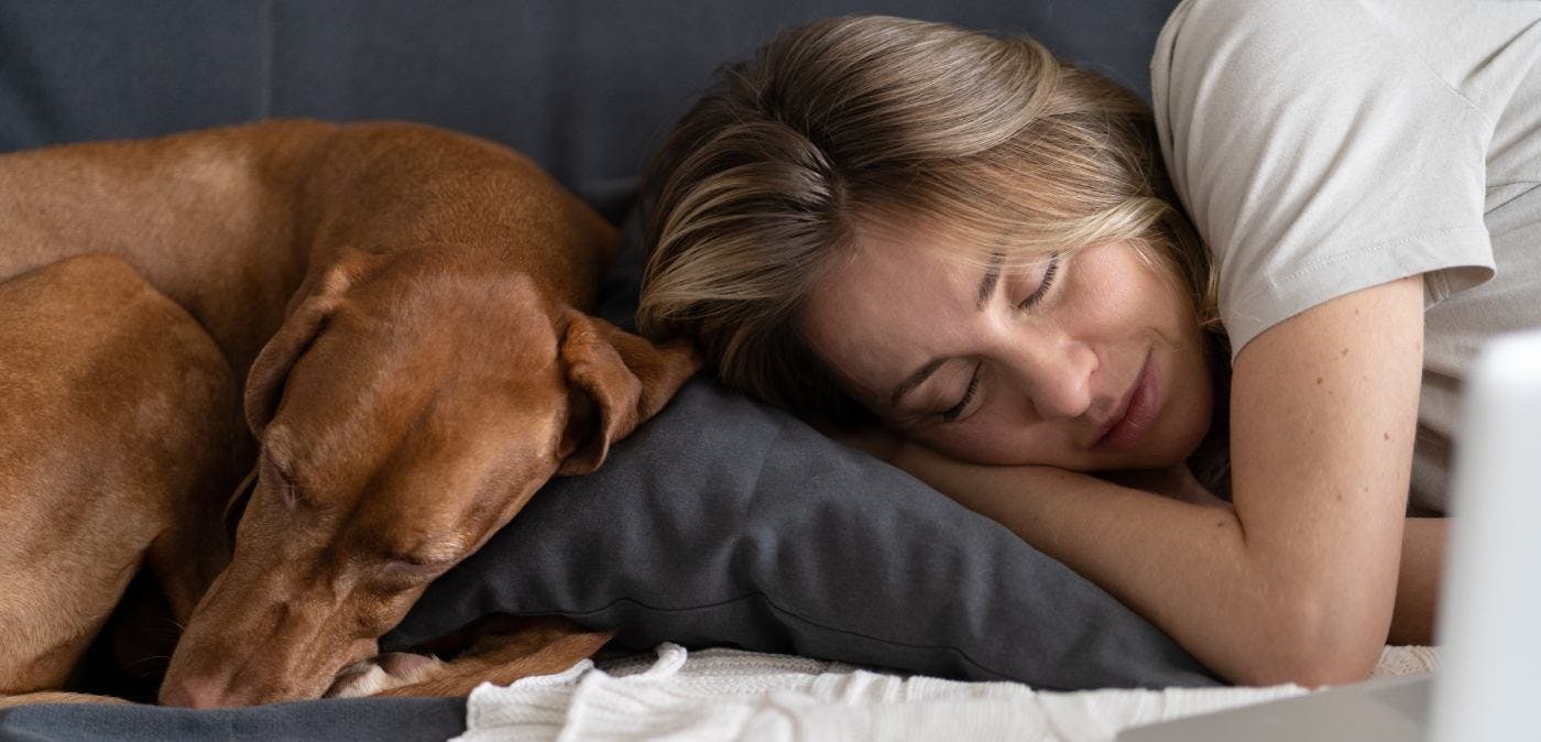 Woman peacefully napping in front of laptop with dog
