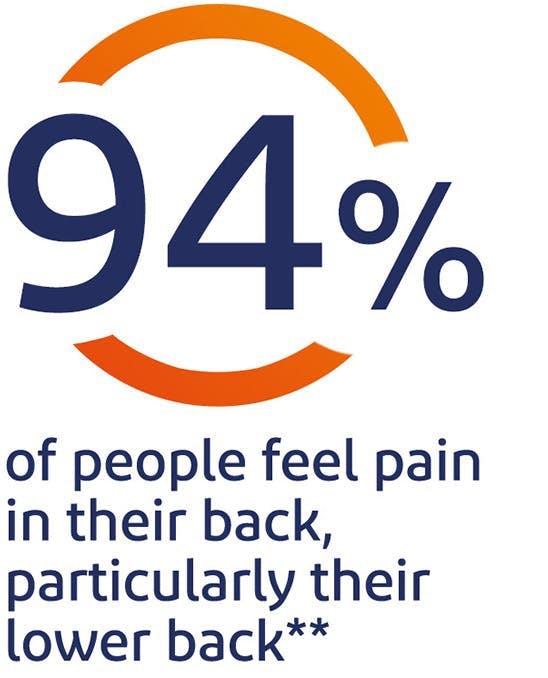 94% of people feel pain in their back, particularly their lower back*