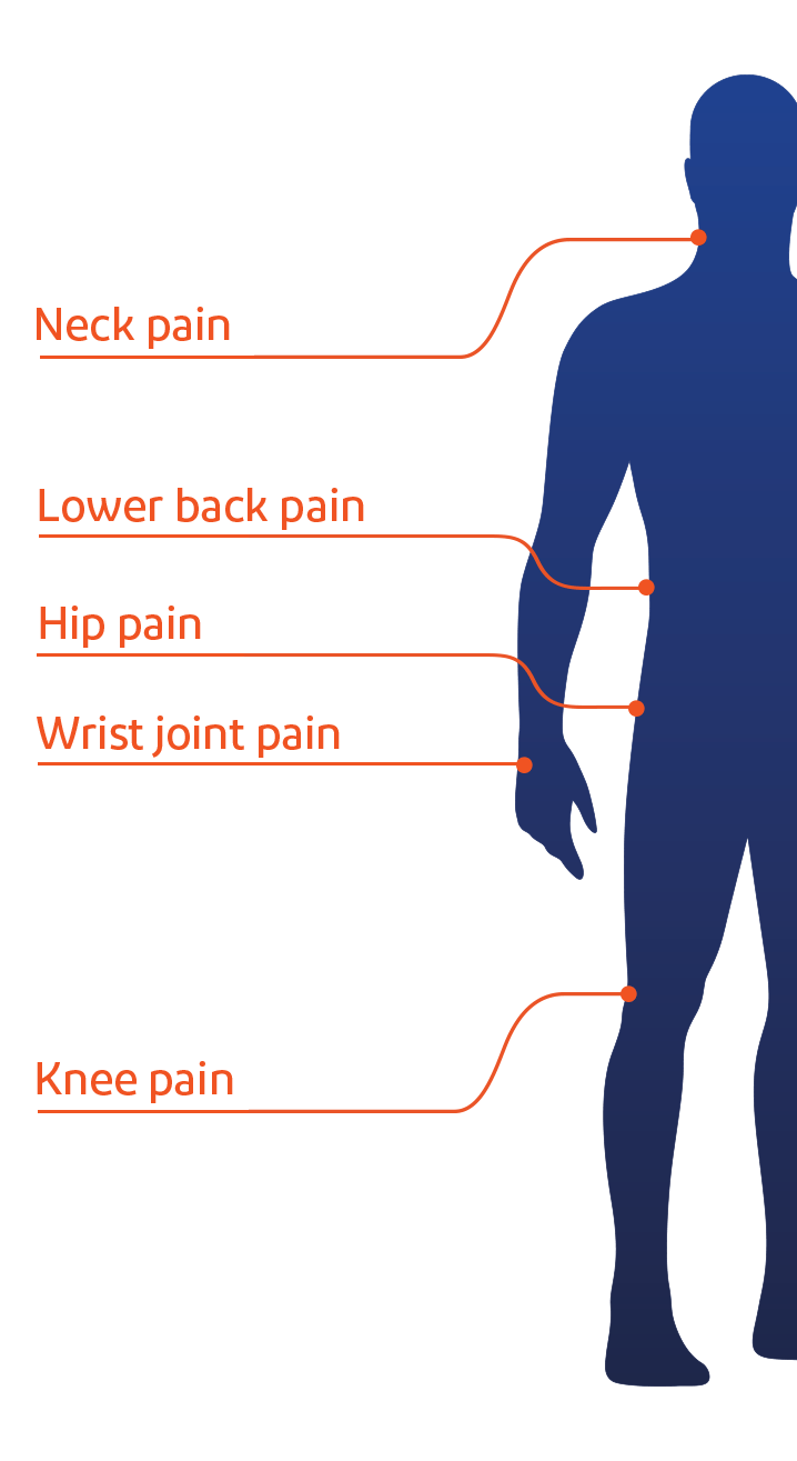 Neck pain, Lower back pain, Knee pain, Hip joint pain, Wrist joint pain