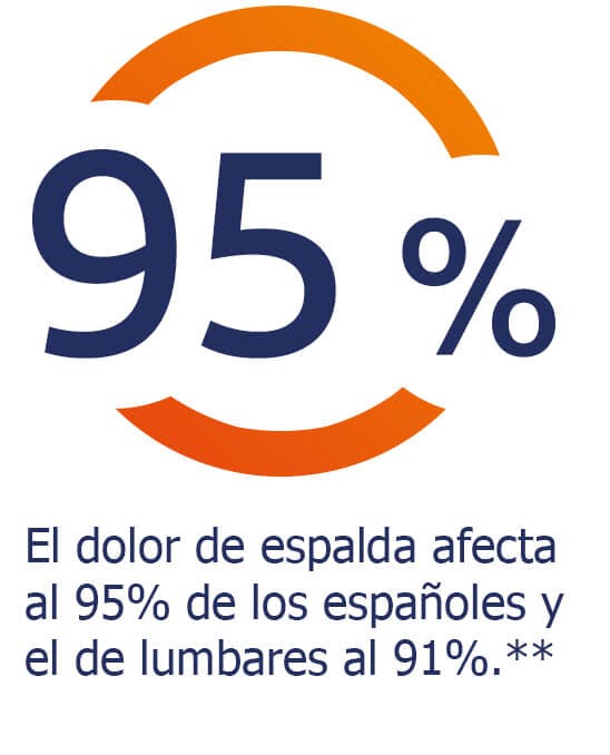 El dolor de espalda afecta al 95% de los españoles El 95% de los españoles se ven afectados por el dolor de espalda
