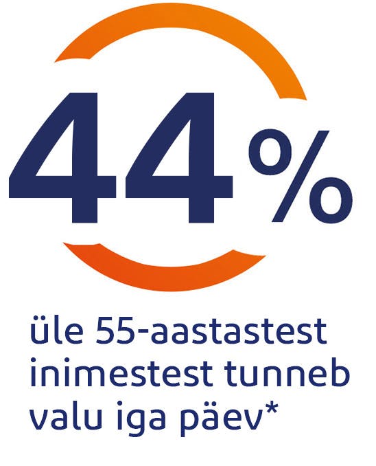 44% üle 55-aastastest inimestest tunneb valu iga päev 44% üle 55-aastastest inimestest tunneb valu iga päev
