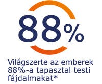 Fájdalom tapasztalata Világszerte az emberek 88%-a tapasztal testi fájdalmat