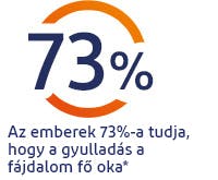 Az emberek 73%-a tudja, hogy a gyulladás a fájdalom vezető oka