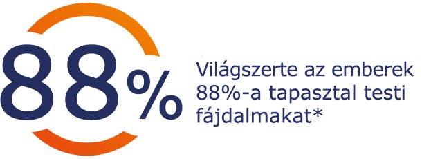 Fájdalom tapasztalata Világszerte az emberek 88%-a tapasztal testi fájdalmat