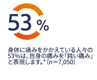 身体に痛みをかかえる人々の53%は自身の痛みを「鈍い痛み」と表現します。*(n=7,050) 身体に痛みをかかえる人々の53%は自身の痛みを「鈍い痛み」と表現します。*(n=7,050)