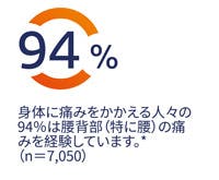 身体に痛みをかかえる人々の94%は腰背部(特に腰)の痛みを経験しています。*(n=7,050)
身体に痛みをかかえる人々の94%は腰背部(特に腰)の痛みを経験しています。*(n=7,050)