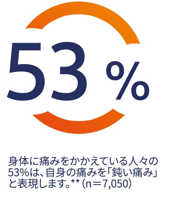 身体に痛みをかかえる人々の53%は自身の痛みを「鈍い痛み」と表現します。*(n=7,050) 身体に痛みをかかえる人々の53%は自身の痛みを「鈍い痛み」と表現します。*(n=7,050)