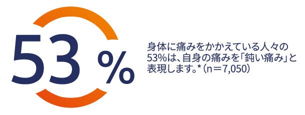 身体に痛みをかかえる人々の53%は自身の痛みを「鈍い痛み」と表現します。*(n=7,050) 身体に痛みをかかえる人々の53%は自身の痛みを「鈍い痛み」と表現します。*(n=7,050)