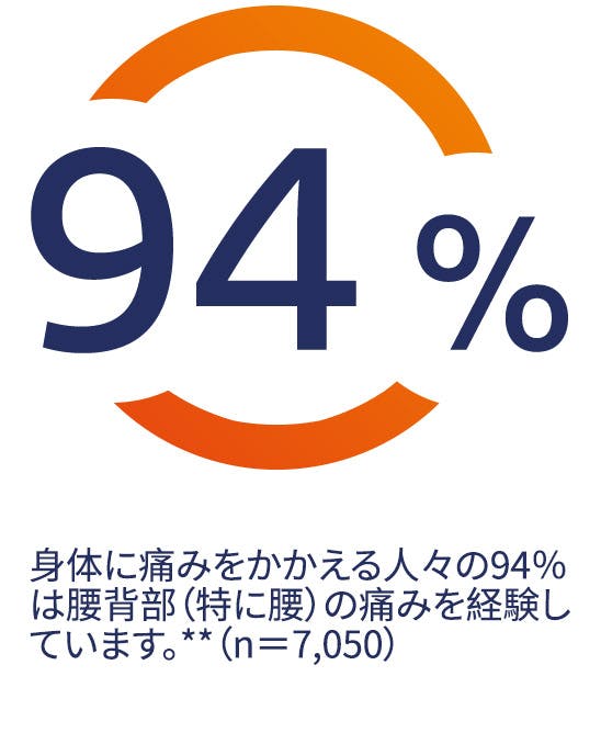 身体に痛みをかかえる人々の94%は腰背部(特に腰)の痛みを経験しています。*(n=7,050) 身体に痛みをかかえる人々の94%は腰背部(特に腰)の痛みを経験しています。*(n=7,050)
