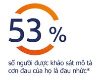 53% số người trong khảo sát mô tả cơn đau của họ là đau nhức 53% số người trong khảo sát mô tả cơn đau của họ là đau nhức