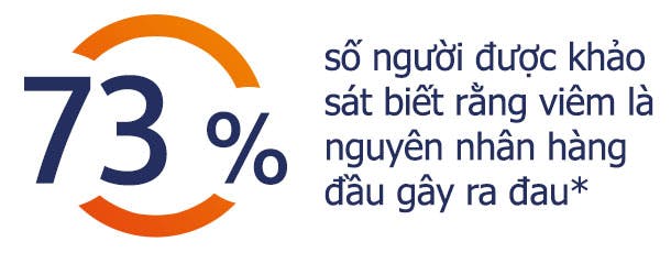 73% người biết rằng viêm là nguyên nhân hàng đầu gây đau