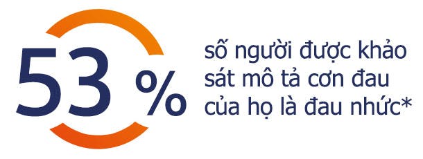 53% số người trong khảo sát mô tả cơn đau của họ là đau nhức 53% số người trong khảo sát mô tả cơn đau của họ là đau nhức