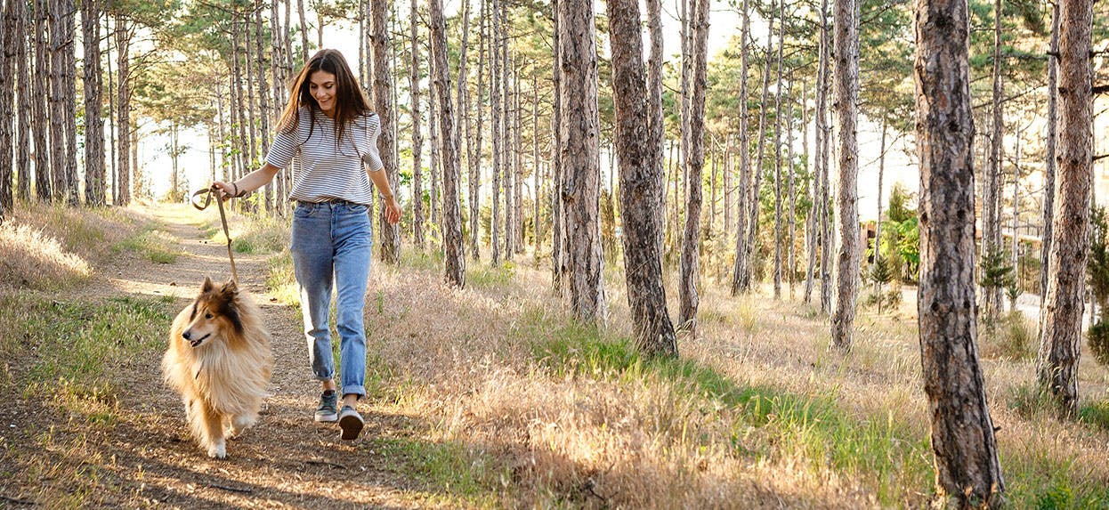 A woman walking her dog in a forest 