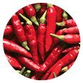 Piments de Chili