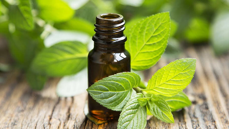 Tea tree oil