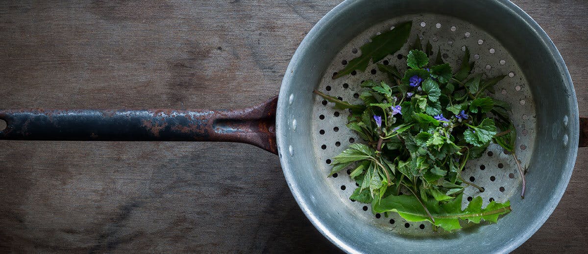 Gammelt dørslag med grønne blader og blå blomster i