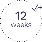12 weeks icon 12 weeks icon