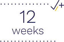 12 Weeks