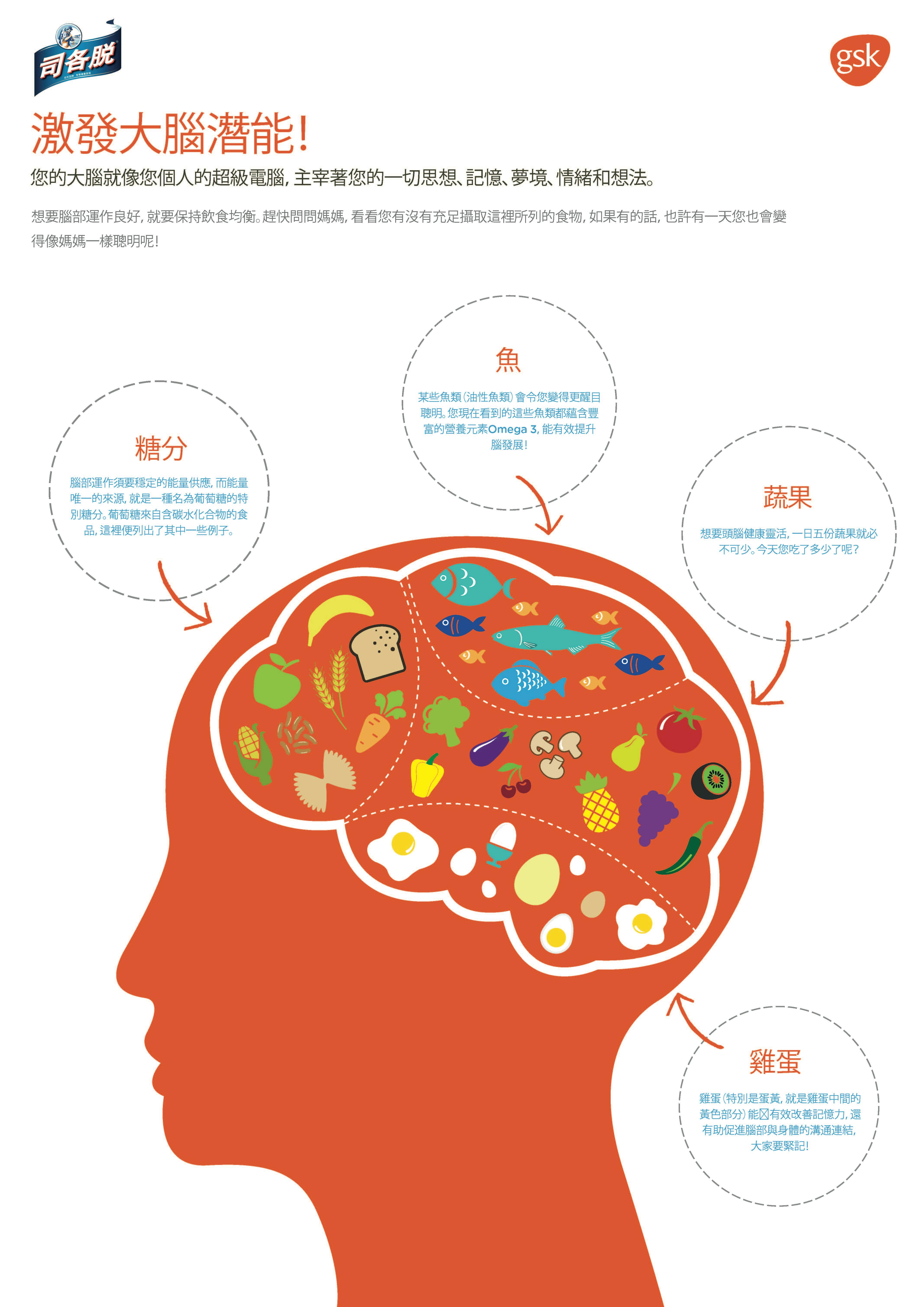 腦力,  腦部所需的食物,  腦部所需的營養, 腦部發展, 司各脫